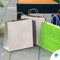 Amiff Silver Shopping Bags with Handles 10 x 5 x 13 Pack of 25 Silver Gift Bags Bulk 150 GSM Silver Paper Bags with Handles Bulk Natural Silver Kraft Paper Bags Silver Paper Gift Bags Large